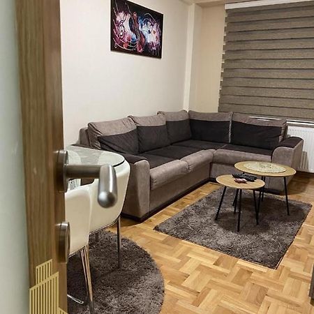 Mirkovic Lux Apartman Ni Εξωτερικό φωτογραφία